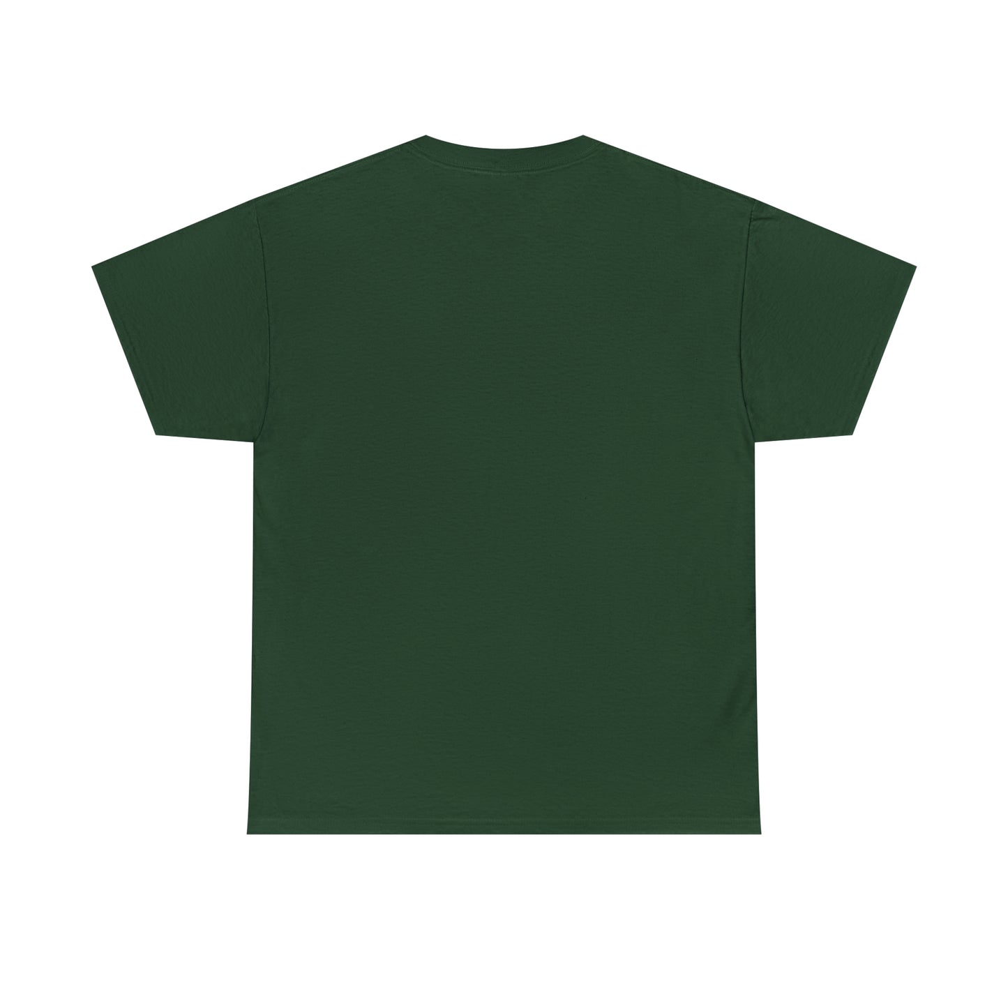 NO TROLLING T-SHIRT