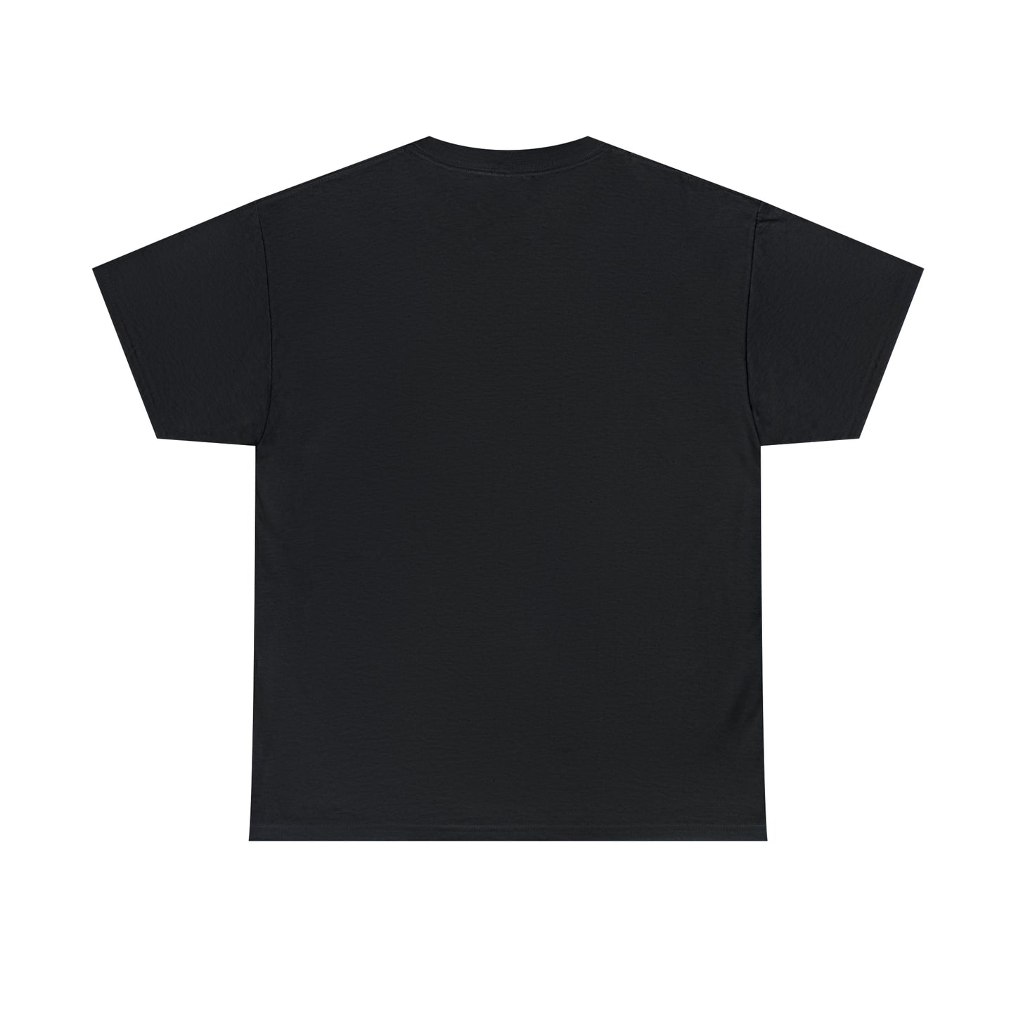 NO TROLLING T-SHIRT