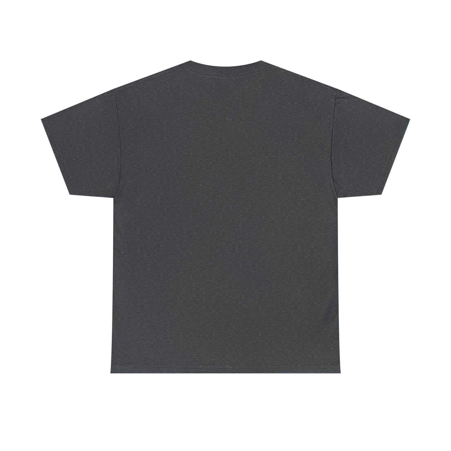 NO TROLLING T-SHIRT