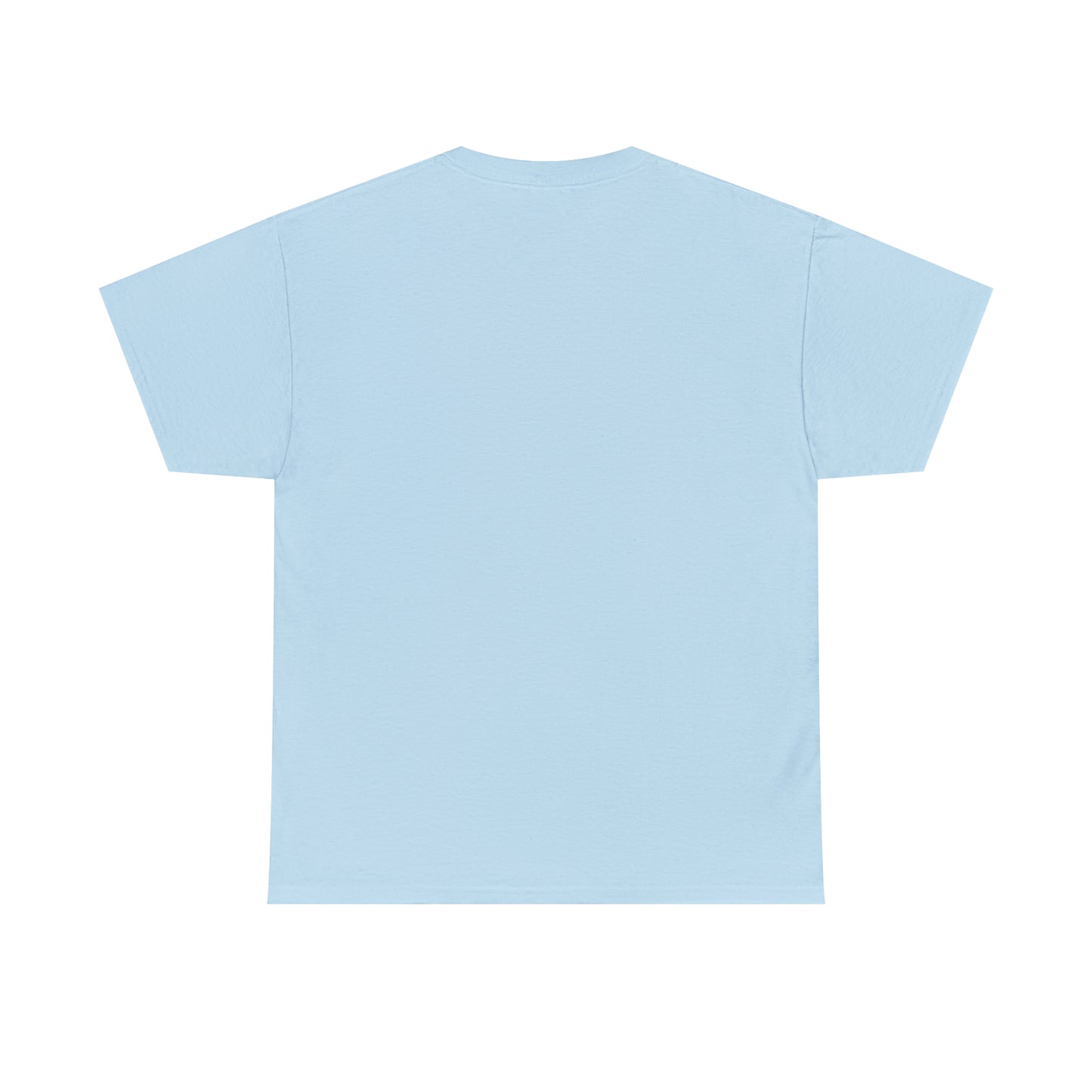 NO TROLLING T-SHIRT