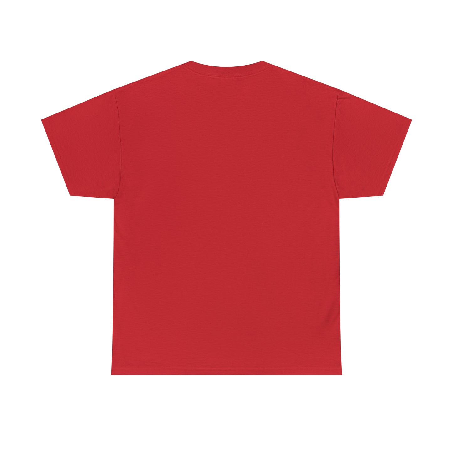 NO TROLLING T-SHIRT